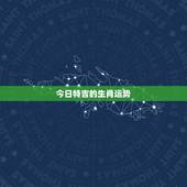 今日特吉的生肖运势，生肖蛇今日财运