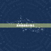 发财鱼会吃小鱼么，发财鱼的喂食