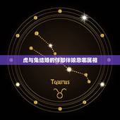 虎与兔结婚的伴郎伴娘忌哪属相，12生肖虎和兔是否相生相克？