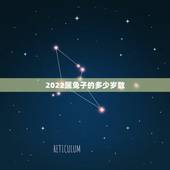 2022属兔子的多少岁数，咋看兔子多大