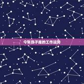 今年双子座的工作运势，我想知道双子座今年的运势