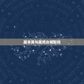 属羊男与属鸡女相配吗，1991年男羊更佳婚配