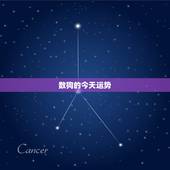 数狗的今天运势，属狗2018年运势