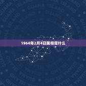 1964年2月4日属相是什么，1964年2月4日出生属兔的吉祥数字是多