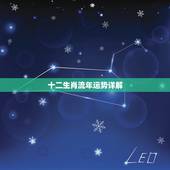 十二生肖流年运势详解，十二生肖运势