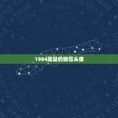 1984属鼠的微信头像，1984年属鼠微信头像