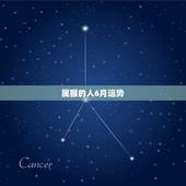属猴的人6月运势，属猴的人2023全年运势及运程和每月运程