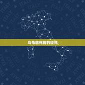 乌龟临死前的征兆，乌龟从沙子里爬出来头垂下 有气无力 看起来快死的样子