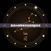 属龙88年带来好运招财微信名，属龙的取什么好的网名