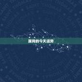 属狗的今天运势，属狗的人2017年运程