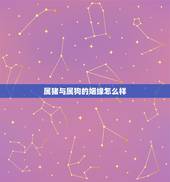 属猪与属狗的姻缘怎么样，属猪女与属狗的婚姻今天怎么样