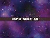 属狗的和什么属相的不相冲，属狗的与属什么的属相不合