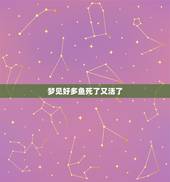 梦见好多鱼死了又活了，今天梦到好多鱼有死的还有活的，这是什么梦啊 是好