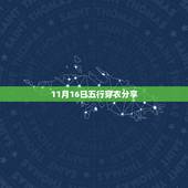 11月16日五行穿衣分享 2021年11月16日穿衣旺运