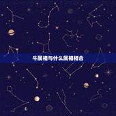 牛属相与什么属相相合，属牛和什么属相最配