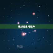 运缘阁生肖运势，今日生肖运势查询