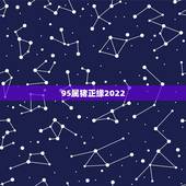 95属猪正缘2022 95年属猪的正缘什么时候到