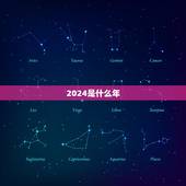 2024是什么年，2029是闰年么