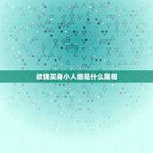 欲钱买身小人细是什么属相，身小人细心肠毒 解一生肖
