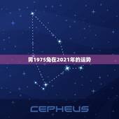 男1975兔在2021年的运势，75年属兔2021年运势及运程男