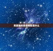 男属猪的更佳婚配是什么，男属猪的属相婚配表