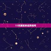11月属蛇的运势如何，2022年属蛇人的全年运势