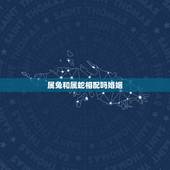 属兔和属蛇相配吗婚姻，属兔和属兔的婚姻相配