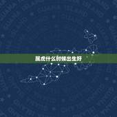 属虎什么时候出生好，属虎的什么时辰出生更好