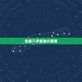 生辰八字自动计算器，生辰八字算子女计算器
