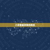 八字里最厉害的桃花 时柱有桃花一定外遇吗