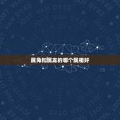 属兔和属龙的哪个属相好，属龙和属兔结合生什么属相好