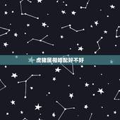 虎猪属相婚配好不好，属虎和属猪相配吗