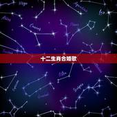 十二生肖合婚歌，生肖猪匹配音乐