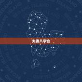 夫妻八字合，怎么看俩夫妻的八字合不合？急急急