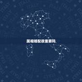 属相婚配很重要吗，婚姻中属相合不合重要吗？