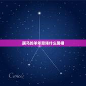 属马的羊年忌讳什么属相，羊年属马忌什么属相