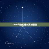 1990马的和什么属相最配，九0年属马是什么婚配