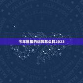 今年属猪的运势怎么样2023，属猪今年的运势怎么样2023