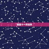 属鼠十一月运势，1972年属在2022 年11月运
