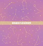 属兔最近几日运势如何，1987年属兔2018年运势及运程