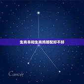 生肖羊和生肖鸡婚配好不好，属鸡人与属羊人婚配如何