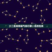 十二生肖有福气排行第一名的生肖，十二生肖谁最有福气，哈哈，真的有我