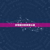 珍惜缘分的早安心语，形容早安心语的优美语句有哪些？