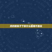 虎的新娘子下轿什么属相不能去，新娘属虎，该找什么属相的伴娘？