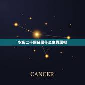 农历二十四日属什么生肖属相，腊月二十四属相
