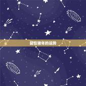 鼠在猪年的运势，2019年属鼠运势 猪年属鼠的人财运、事业、爱情、学业