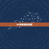 95年属猪的真爱，十二生肖婚姻配对表