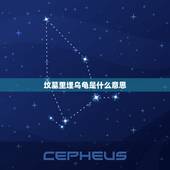 坟墓里埋乌龟是什么意思，祖坟上埋乌龟是什么意？