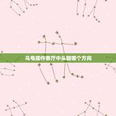 乌龟摆件客厅中头朝哪个方向，乌龟壳做摆设有什么讲究吗？