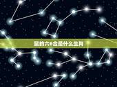 鼠的六6合是什么生肖，属鼠的六冲是什么生肖